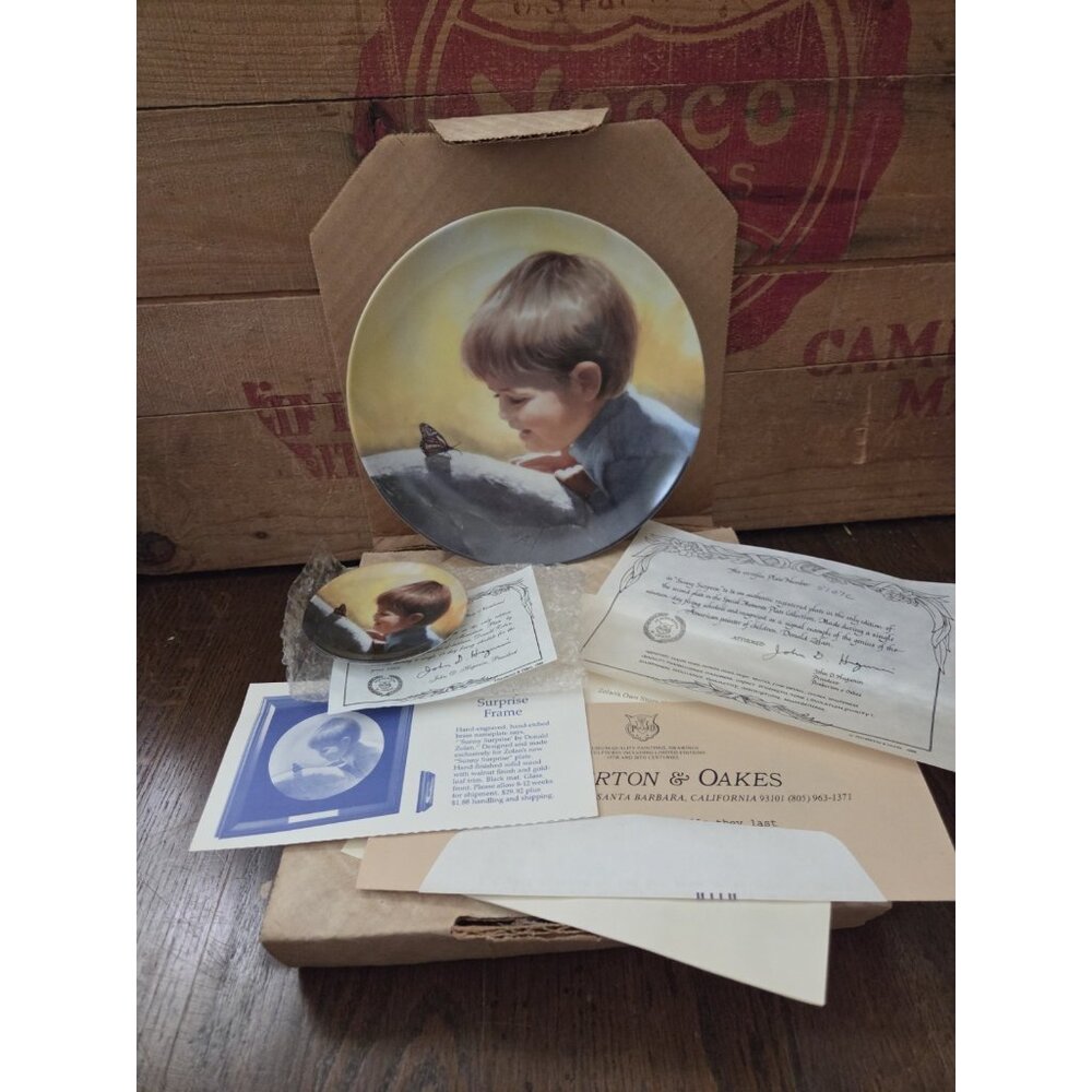 Vtg 1989 Donald Zolan 7.5" Collector's Plate w/Miniature Plate - Sunny Surprise